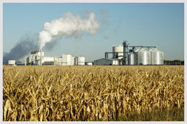 ethanol plant